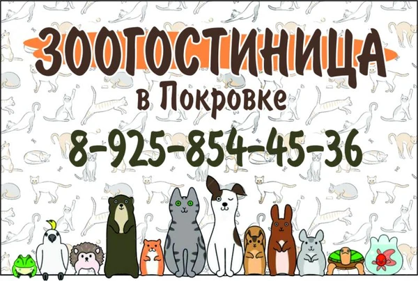 Фото Зоогостиинца. Покровка, Клинский район, МО