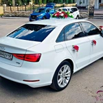 Фото №24 Свадебные машины, лимузины, микроавтобусы в Липецке