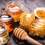 фото Продам мед оптом