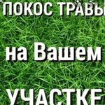 Покос травы, по городу и области