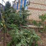 Фото №4 продаётся Дом 93 м2