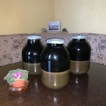 Фото №9 ОГНЁВКА ПЧЕЛИНАЯ (ВОСКОВАЯ МОЛЬ)