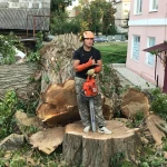 Фото №3 Спил деревьев 