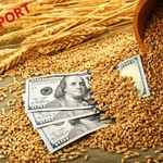 фото Поможем организовать экспорт зерновых
