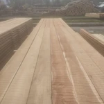 Фото №4 Лиственница, хвоя продажа оптом от производителя.