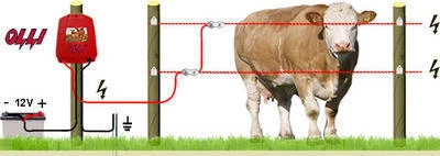 Фото Электропастух, электроизгородь для КРС, овец, свиней, собак