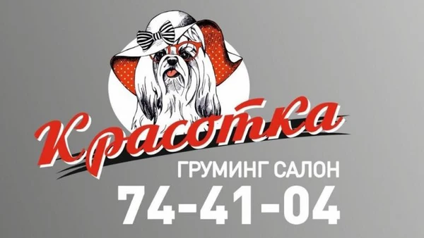 Фото Стрижка кошек и собак