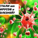Фото №3 ДЕЗИНФЕКЦИЯ ОТ ВИРУСОВ, БАКТЕРИЙ, ЗАПАХОВ И АЛЛЕРГЕНОВ