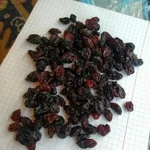 фото Изюм кондитерский / красный, изюм евросорт, изюм медиум, голден, джамбо флейм