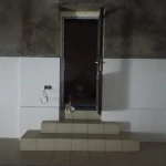 Фото №40 Укладка кафеля.