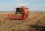 фото Жатка для убоки подсолнечника НАШ-873 для комбайна FENDT