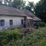 Фото №2 СПИЛ ДЕРЕВЬЕВ