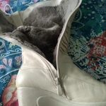 Фото №4 Продам зимние сапоги.