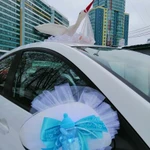 Встреча из роддома