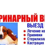 Ветеринар. Ветеринарный врач. Вызов на дом