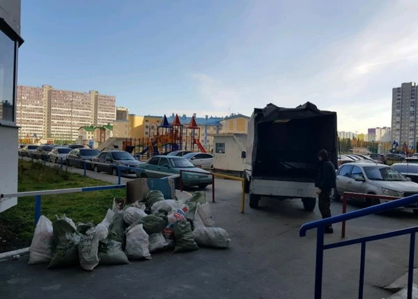 Фото Вывоз мусора Ашитково