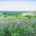 Фото №4 Участок на Дону