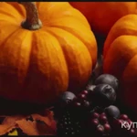 Фото №2 продам тыкву