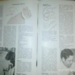 Фото №4 Все что нужно знать о кошках