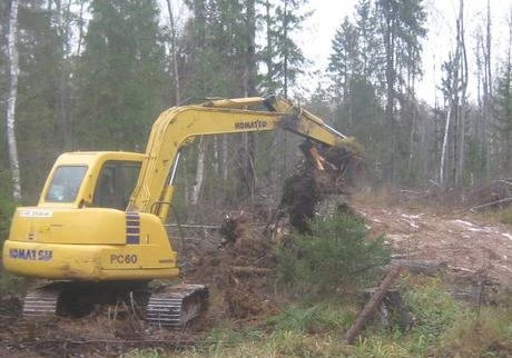 Фото Уборка и вывоз мусора