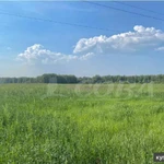 Фото №6 Продам 10 гектар сельхоз.земля