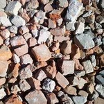 Фото №5 Продаю с доставкой чернозем,опил,песок,щебень