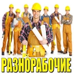 Разнорабочие, в любом количестве