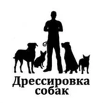 Дрессировка собак в туношне