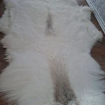 фото Шкура оленя