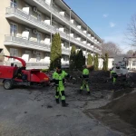 Фото №4 Спил деревьев измельчитель веток 