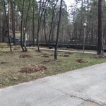 Фото №2 Благоустройство участков