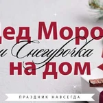 Дед Мороз и Снегурочка выезд на дом