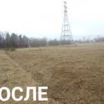 Фото №22 Расчистка участка от кустарника и деревьев. ОТЗЫВ КЛИЕНТА.