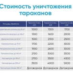 Фото №4 Дезинсекция/дератизация