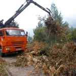 Вывоз строительного мусора услуги грузчиков