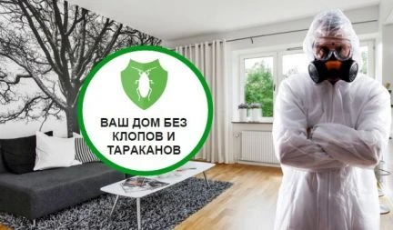 Фото Служба уничтожения насекомых