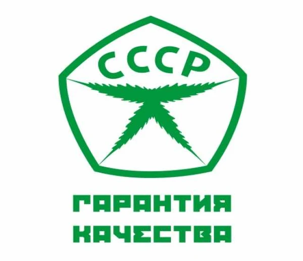 Фото сантехника электромонтаж