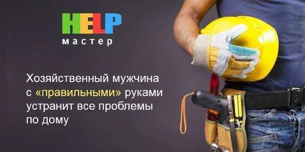 Фото Помощник