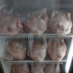 Куры халяль