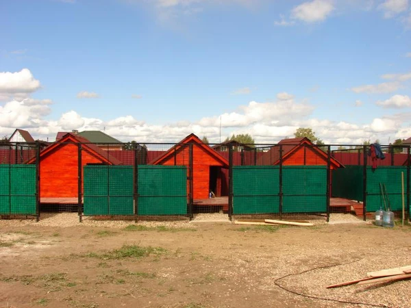 Фото Передержка собак