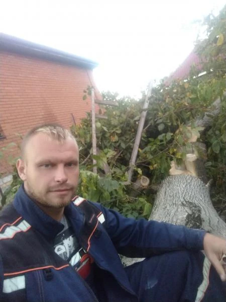 Фото Спил деревьев+ расчистка участка+вывоз