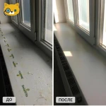 Фото №3 Мойка окон