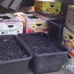 Фото №6 Виноградный сок