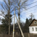 Фото №4 Удаление аварийных сложных деревьев спил