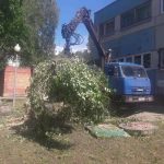 Фото №5 Вывоз спиленных деревьев - Ломовоз