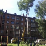 Фото №4 Профессиональная валка деревьев