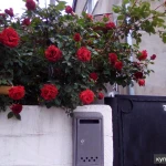 Фото №8 Коттедж 72 м2