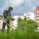 Покос травы