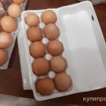 Фото №4 Продам яйцо куронное, всегда свежее
