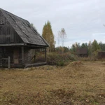 Фото №21 СПИЛ КОРЧЕВАНИЕ ВЫРАВНИВАНИЕ ПЛАНИРОВКА ГАТЧИНА И РАЙОН. 